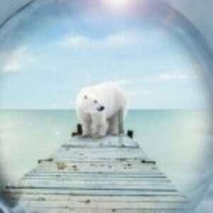 Group logo of Innovation Club